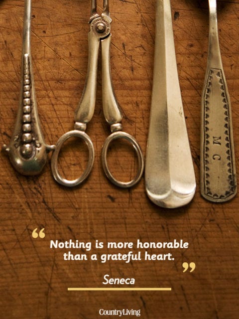 Cutlery, Tool, Household silver, Kitchen utensil, Tableware, Metal, 