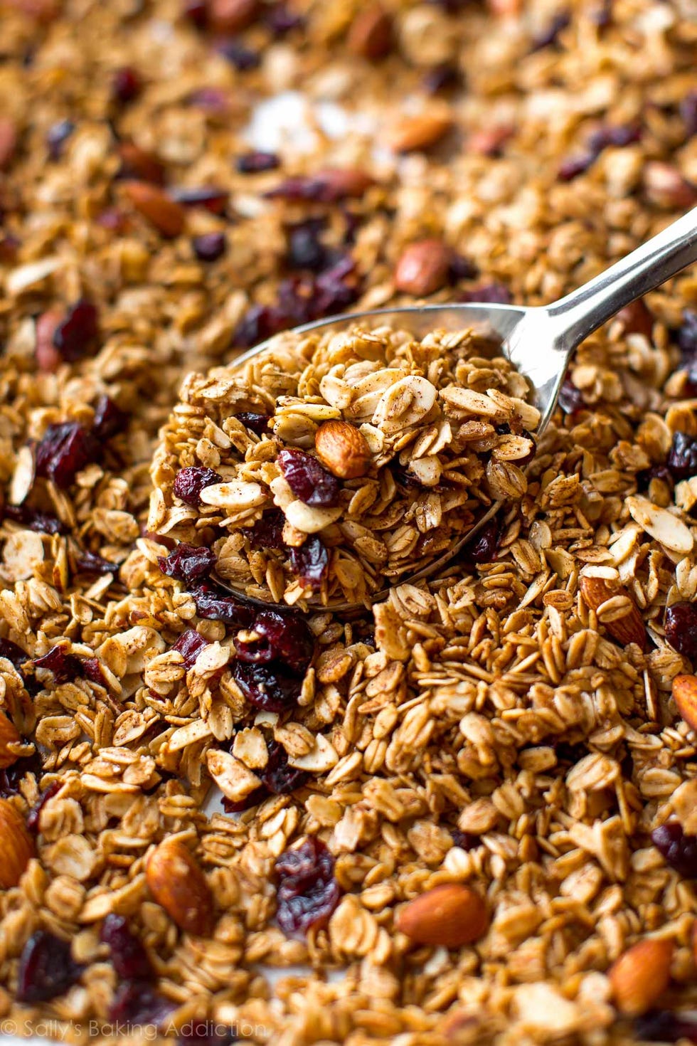 Breakfast cereal, Food, Granola, Meal, Breakfast, Snack, Cuisine, Dish, Cereal, Muesli, 