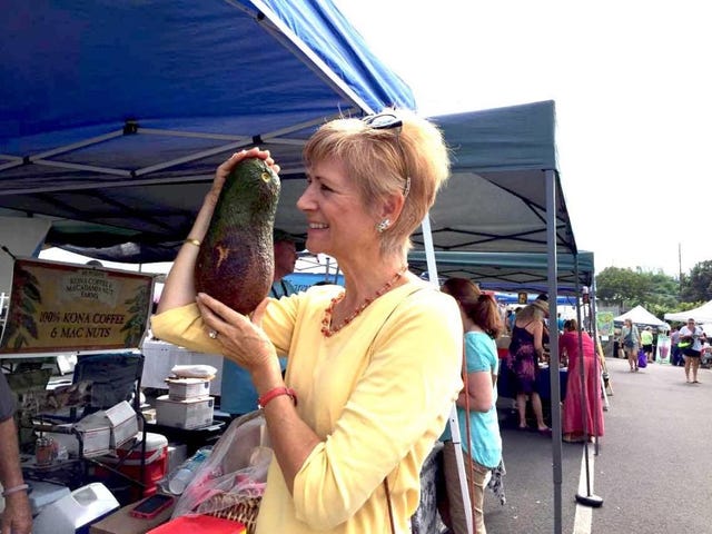 Fish, Fish, Vacation, Seafood, Tourism, 