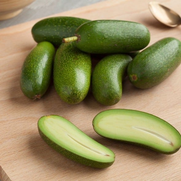 Food, Vegetable, Plant, Scarlet gourd, Cucumber, Winter melon, Cucumber, gourd, and melon family, Zucchini, Spreewald gherkins, Produce, 