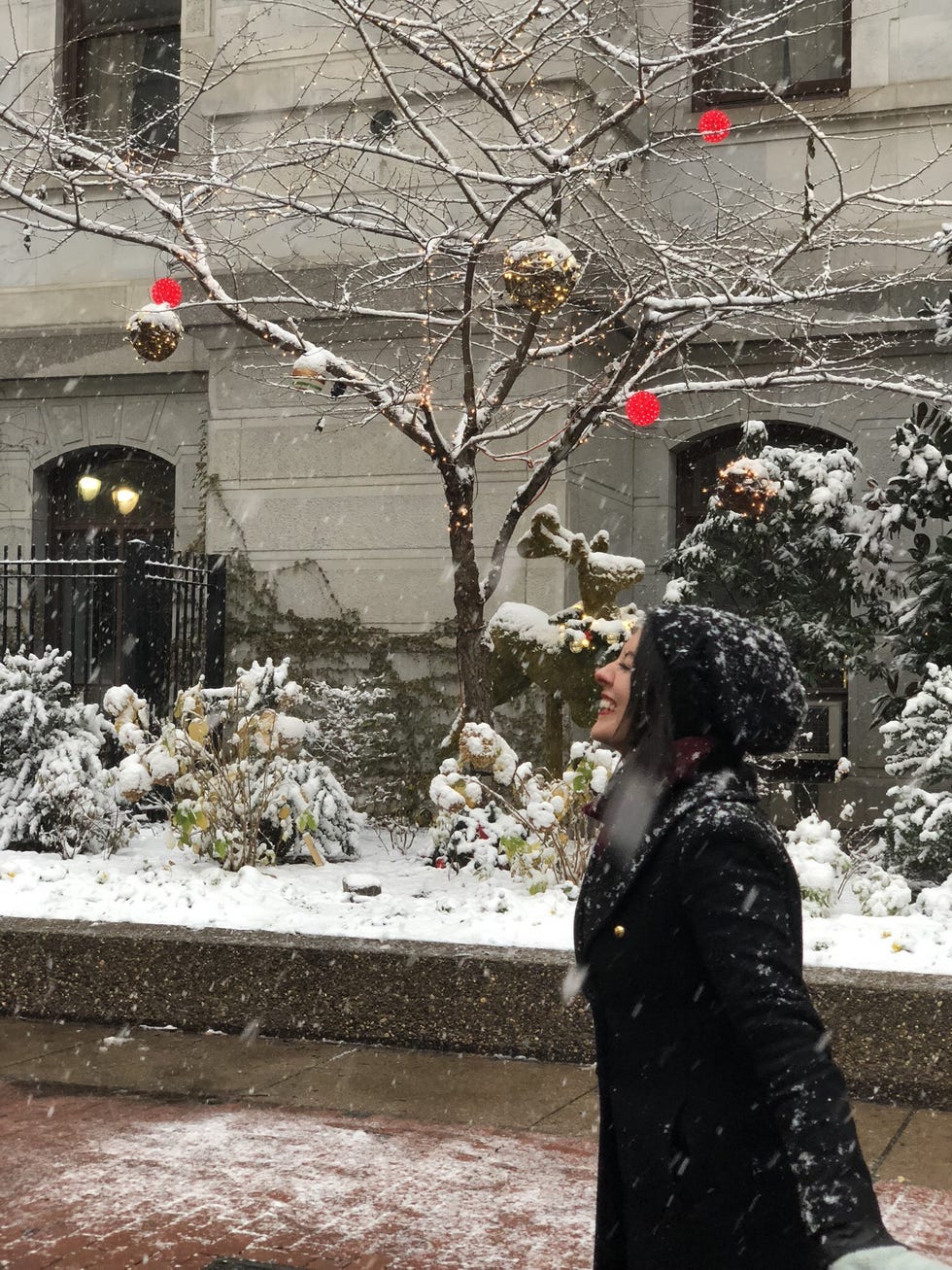 Snow, Winter, Tree, Branch, Freezing, Urban area, Winter storm, Blizzard, Precipitation, Plant, 