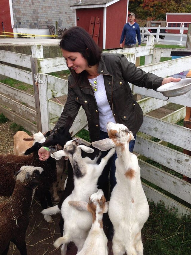 Goats, Goat, Cow-goat family, Goat-antelope, Goatherd, Livestock, Fur, Canidae, 
