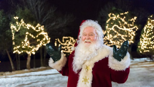 santa claus, christmas, facial hair, beard, christmas eve, fictional character, tree, winter, fur, tradition,