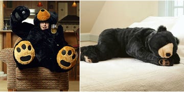 Bear, Plush, Sporting Group, Fur, Textile, Carnivore, Companion dog, Labrador retriever, Black cat, Canidae, 