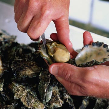 Oyster, Food, Bivalve, Seafood, Clam, Shellfish, Dish, Mussel, Molluscs, Abalone, 