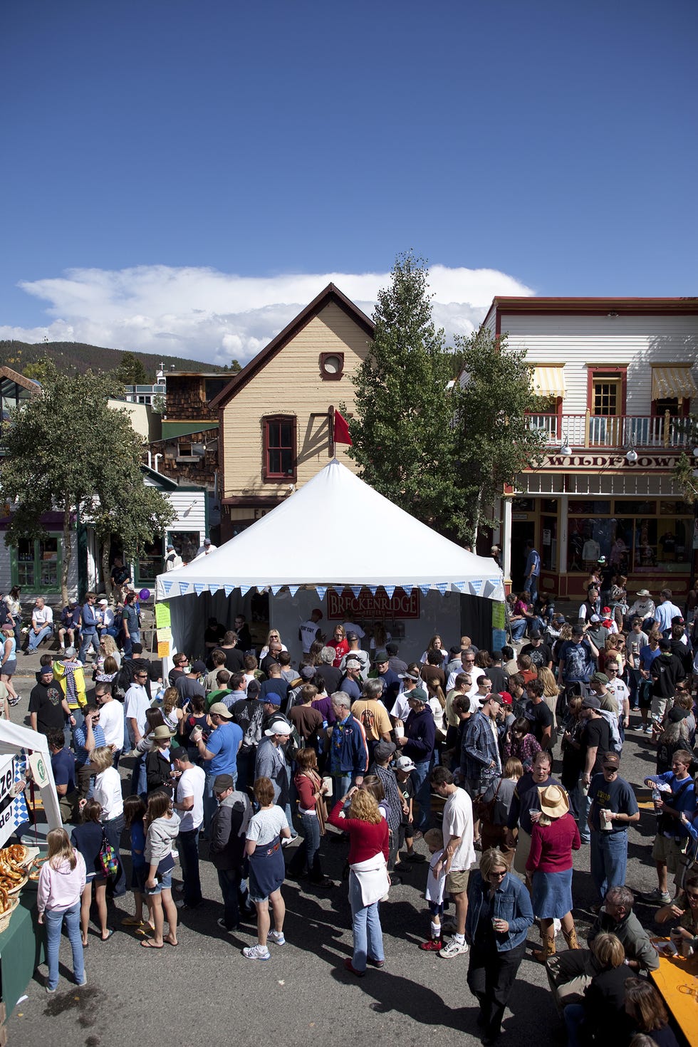 Crowd, People, Community, Town, Event, Tourism, Tree, Festival, Architecture, City, 