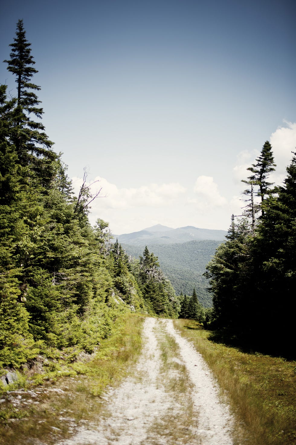 Tree, Nature, Sky, Mountainous landforms, Mountain, Road, Dirt road, Wilderness, Natural environment, Atmospheric phenomenon, 