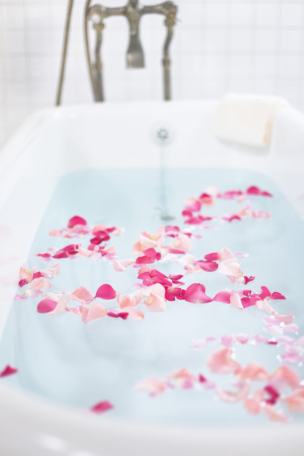 Pink, Petal, Room, Textile, Magenta, Flower, Table, Plant, 