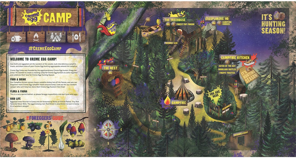 Strategy video game, Pc game, Games, Natural environment, Adventure game, Biome, Jungle, Screenshot, Organism, Recreation, 