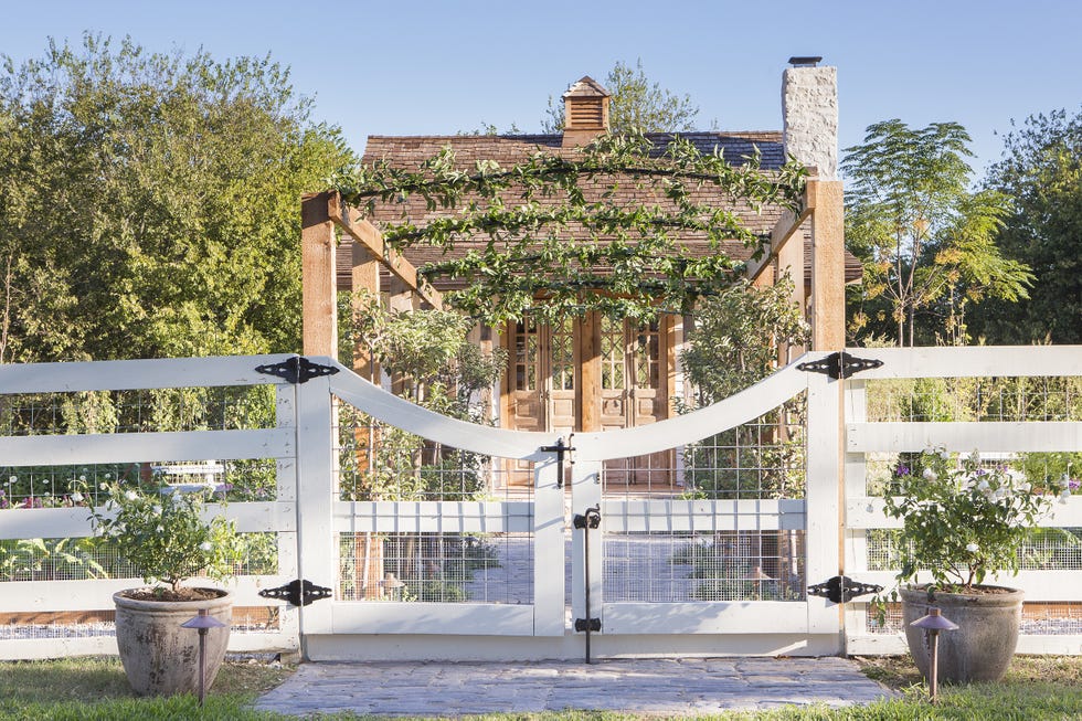 garden
