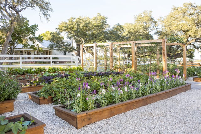 chip joanna gaines family garden project