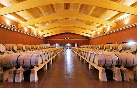 Winery, Barrel, Room, Building, Wine cellar, Aisle, 