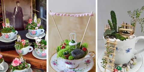 Teacup, Tableware, Flowerpot, Plant, Drinkware, Easter, Table, Cake decorating, Cup, Flower, 