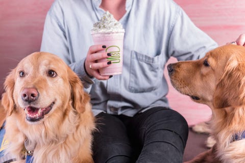 Shake Shack Is Releasing A Pink Glittery Milkshake