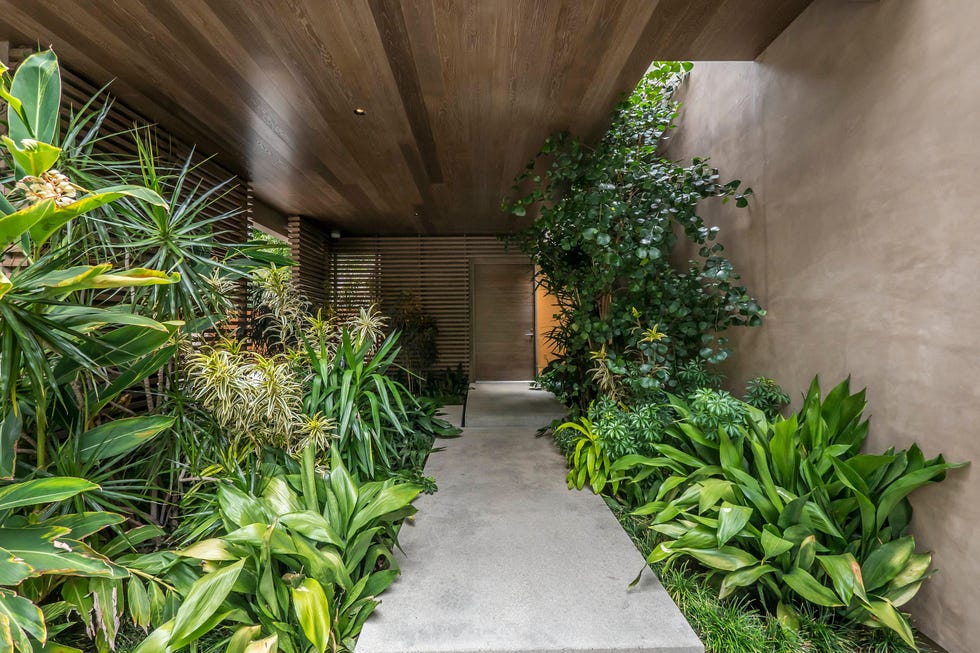 Vegetation, Green, Botany, Plant, Garden, Leaf, Architecture, Botanical garden, Tree, Real estate, 