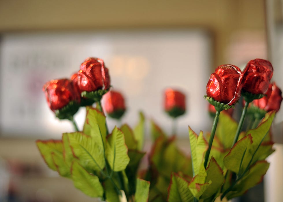 chocolate roses