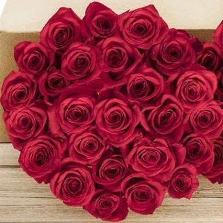 Red, Flower, Rose, Garden roses, Pink, Rose family, Plant, Cut flowers, Petal, Bouquet, 