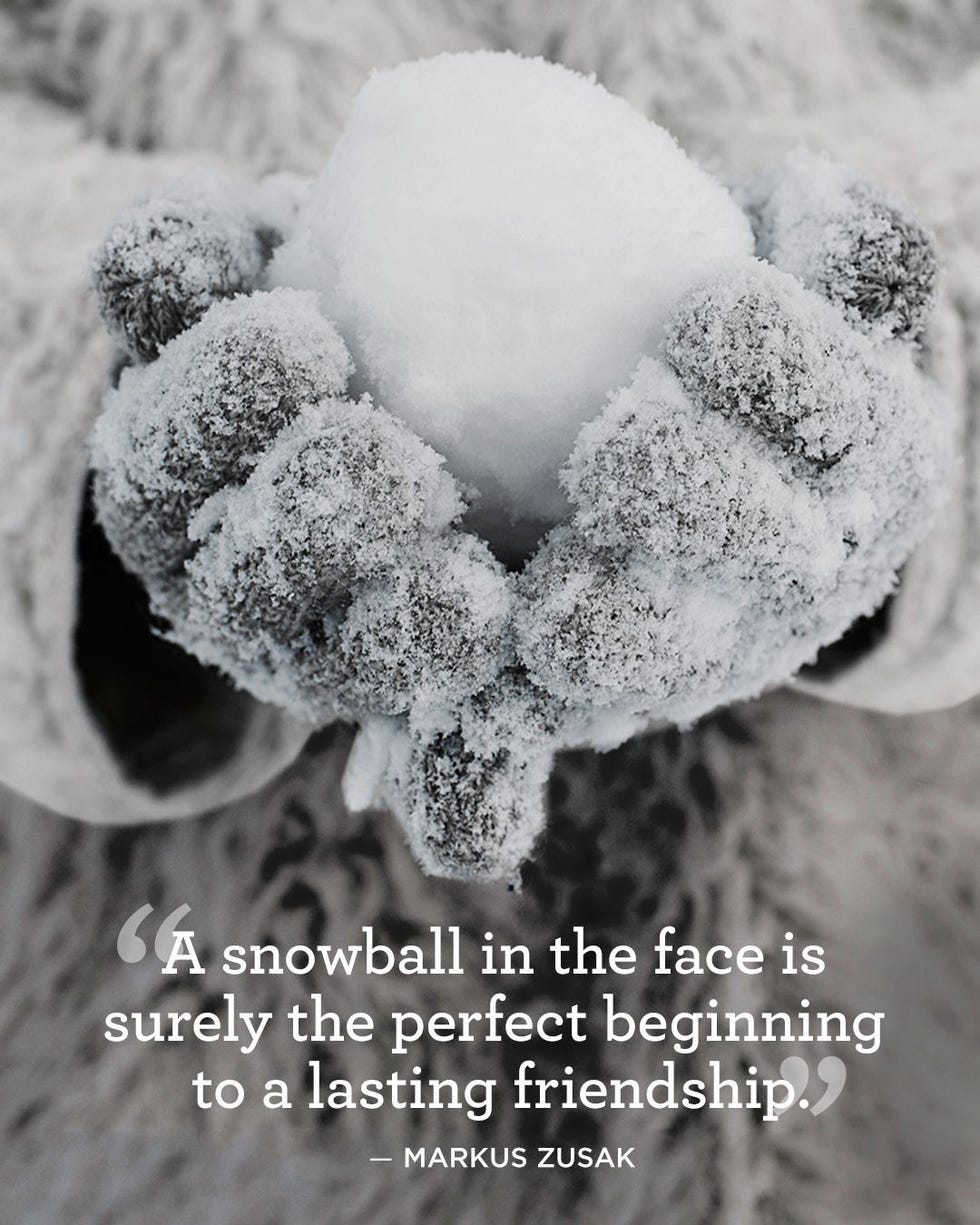 Freezing, Winter, Black-and-white, Frost, 
