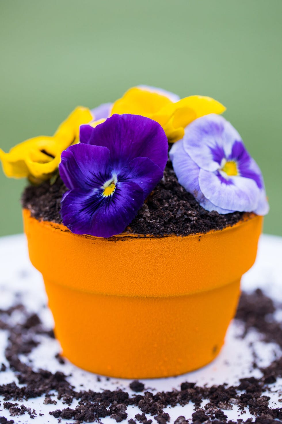 delish-flower-pot-cake