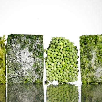 Green, Algae, Green algae, Vegetarian food, Still life photography, Moss, 