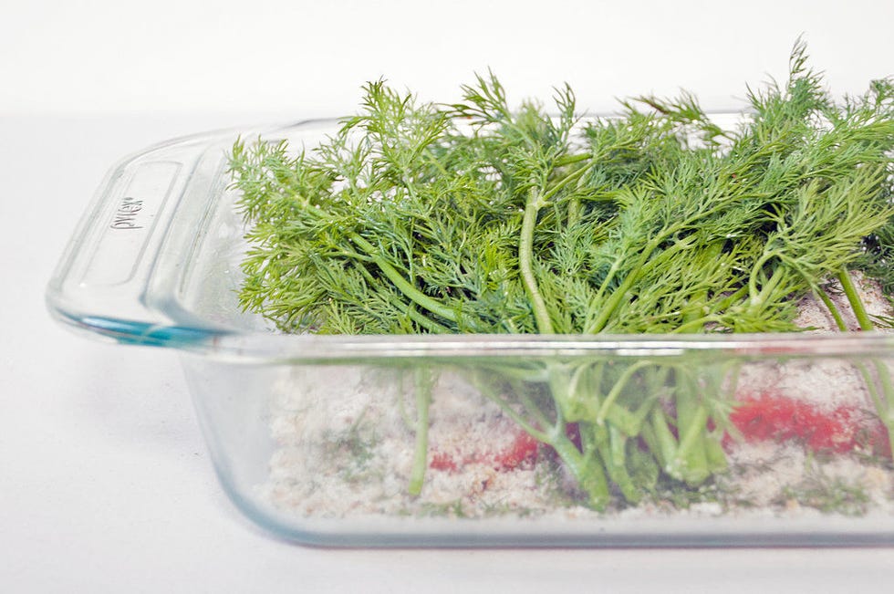 <p>Top the salmon with the rest of the curing mixture and the remaining dill fronds.</p>
