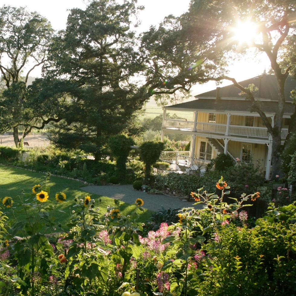 <p>Like other B&Bs, Beltane Ranch Bed and Breakfast serves only, yes, breakfast, but it couldn't be fresher. Produce is grown in the gardens right on the premises, eggs come from the ranch's heritage-breed hens, and meats and farmstead cheeses hail from local farms.  The ranch even bottles its own estate-grown wine and uses olive oil made from olive grown on the estate.</p> 

<p><i><a href="http://www.beltaneranch.com/" target="_new">beltaneranch.com</a></i></p>