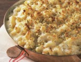 Curb Every Craving