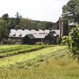 Nature, Vegetation, Property, Neighbourhood, Landscape, Photograph, Plant community, Land lot, Leaf, Real estate, 