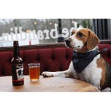 <p>A pub in South Gosforth, Newcastle in England set its sights on a rather unconventional clientele — canines. The Brandling Villa pub brews their own beer for dogs, alcohol-free of course.</p>

<p><a href="/food/recalls-reviews/branding-villa-pub-beer-for-dogs"><b>Read the Whole Story</b></a></p>