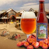 <p>Started in 1989 with the founder delivering beers on his bike, <a href="http://www.newbelgium.com/" target="_blank">New Belgium</a> quickly turned into a microbrewery and then surpassed the microbrewery mark to become one of the most respected and loved full breweries in the country. They now offer free tours of their facility, which produces "Fat Tires," the very brew that was transported on bikes more than 20 years ago. While Fat Tire is the solid flagship beer of New Belgium, the brewery still takes risks with its seasonals. "New Belgium has a huge lineup of beers and [is] best known for their Fat Tire Amber Ale," says Dave Butler, Colorado beer blogger for <a href="http://www.fermentedlychallenged.com/" target="_blank">Fermentedly Challenged</a>. "In particular I love their Lips of Faith series of beers, and one of my favorites there is their La Folie Sour Brown Ale." New Belgium takes the Colorado lifestyle and transposes it to a larger audience, and many agree that the brewery doesn't just make great craft beer — it makes a eco-friendly and community-friendly impact. "When it comes to the melding of craft beer, the arts, lifestyle, eco-consciousness, and community, this Fort Collins, Colo., brewery has few peers," says Tom Bobak of <a href="http://americancraftbeer.com/" target="_blank">American Craft Beer</a>. "I like what New Belgium 'does' almost as much as I enjoy what they brew." </p>