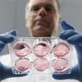 <p>We heard about the test-tube burger more than two years ago, and after word that the synthesized meat patty was almost complete back in May, the slider was finally ready for consumption.</p>

<p><a href="http://gogonow.org/food/recalls-reviews/test-tube-burger-served%22%3E%3Cb%3ERead the Whole Story</b></a></p>