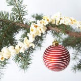 <p><b>Use: </b>Christmas tree decoration</p><br />

<p>Throughout history, Christmas trees around the world have been decorated with different foods — nuts, fruits, gingerbread. The popcorn garland is an American tradition that still exists. They're easy to make: make a batch of popcorn; thread a needle; string popcorn by piercing the center of each piece until you have a string long enough to garland your tree; tie the end of the string and cut it from the spool; hang the garland!</p><br />

<p>We don't putting these wonderful kernels on the tree. They'll never make it to the string once the decoraters get a taste!<br />
<a href="/recipefinder/lemon-parm-popcorn-recipe-ew0211"><b>Lemon-Parm Popcorn</b></a><br />
<a href="/recipefinder/popcorn-dried-oregano-lemon-recipe"><b>Popcorn with Dried Oregano and Lemon</b></a></p>