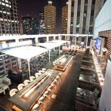 Roof on The Wit - Chicago