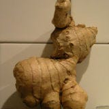 <b>Food:</b> Ginger<br />
<b>Looks Like:</b> Reindeer<br /><br />

Is it a reindeer? Or is it a dog masquerading as a reindeer (i.e. the dog in "How the Grinch Stole Christmas"), as the photographer postulates?