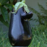 <b>Food:</b> Eggplant<br />
<b>Looks Like:</b> Richard Nixon<br /><br />

The eggplant's owner swears it bears a striking resemblance to the United States' 37th President.<br /><br />

<a href="/recipes/eggplant-recipes"><b>Recipes for eggplants that are simply eggplants.</b></a>