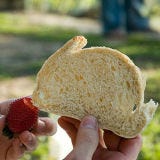 <b>Food:</b> Bread<br />
<b>Looks Like:</b> Bunny<br /><br />

Do bread bunnies prefer butter over carrots?<br /><br />

<a href="/recipes/cooking-recipes/bread"><b>Make fantastic bread at home.</b></a>