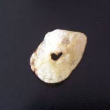 <b>Food:</b> Potato Chip<br />
<b>Looks Like:</b> Heart<br /><br />

Sweet chocolates may be the gift of choice on Valentine's Day, but this salty snack with a heart may be more appropriate.<br /><br />

<a href="/recipes/cooking-recipes/best-chips"><b>Find out which chips are America's best.</b></a>