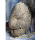 <b>Food:</b> Potato<br />
<b>Looks Like:</b> Old man<br /><br />

That's the face of a man who has weathered a few storms.<br /><br />

<a href="/recipes/cooking-recipes/healthy-potato-side-dishes"><b>Serve these healthy potato side dishes.</b></a>