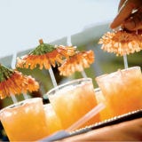 <p>Your centerpieces and table settings will set the theme for the reception, but if the cocktail hour is being held in a separate room or outside, do something different. You don't need to make your guests don leis and Hawaiian shirts, but you could serve tiki-inspired cocktails out of coconuts, and chips with fresh papaya and mango salsa.</p><br /> 
<p><b>Top-Shelf Idea</b>: Take your theme to the next level by expanding it to your music and decor. Hire a mariachi band and set up handmade guacamole and churro stations. Or hire a jazz pianist and singer to perform and decorate with Art Deco-style chandeliers and a bold black-and-white color palette.</p>
