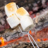 <b>Date:</b> August 30<br /><br />

Toasted marshmallows aren't just for s'mores (although who can argue that the graham cracker sandwich a superb way to dine on them). Light a fire (safely), get some sticks and marshmallows, and show the gooey sweet some respect.<br /><br />

<a href="/recipefinder/lemon-marshmallow-cake-recipe-rbk0410" target="_blank"><b>Cake with a Toasted Marshmallow Topping</b></a>