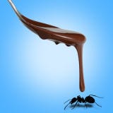 <b>Date:</b> October 15<br /><br />

It's great on pretzels, peanuts, and raisins, so why not insects? If you're going to try chocolate-covered insects for the first time, October 14 is the day to do it.<br /><br />

<a href="/food/recalls-reviews/bug-garnished-cocktail-and-other-edible-insects" target="_blank"><b>Read About a Bug-Garnished Cocktail</b></a>