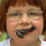 Attendees of this festival held by the North Carolina Museum of Natural Sciences in Raleigh dare themselves to eat insect dishes prepared by local chefs — and cheer on bugs at the Roach Race 5000.
