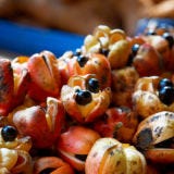 <p><b>Banned:</b> Importation of the raw fruit is banned in the U.S.</p><br />

<p><b>Reason:</b> This pear-shaped fruit — the national fruit of Jamaica — contains toxins that can suppress the body's ability to release an extra supply of glucose, plunging one's blood sugar level and potentially leading to death.</p>