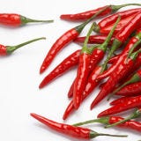 <p>It's certainly stimulating to eat spicy foods. They make you sweat, flush, and increase your heart rate. Which in turn really mimics sensations you might feel in the bedroom, no? Indeed, it's been reported that chile pepper also tells the brain to release endorphins, which are most definitely pleasure inducing.</p><br />
<p><b>Start Spicing Things Up!</b> <a href="/recipefinder/red-chile-chicken-enchiladas-recipe-fw0710" target="_blank"><b>Red Chile-Chicken Enchiladas</b></a></p>