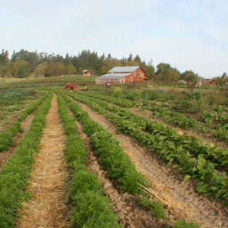 <p>Just 5 miles from Sebastol, California, lies the 30 acres of land that that supplies French Garden Farm with its natural, pesticide and synthetic fertilzer-free produce. For over 30 years, the food at French Garden has been harvested daily from its own farm. The scenic farm grows seasonal produce like tomatoes, peppers, prized Pinot Noir grapes, famous Gravenstein apples, and much more. Along with the bounty culled on their farm, the restaurant also sources local fish, meats, cheeses, bread, and mushrooms. Don't believe us? Take them up on their "farm tour" offer, or stop by for mid-week Happy Hour (a gourmet Happy Hour, we gather...) One could potentially spend an entire day here, tasting apples and wine, touring the farm, and finally settling in to a full meal or drinks later on. If you find the whole experience life-changing, don't act surprised; one comment on customer comment on their website exclaims "From the gods!" </p><p>French Garden
8050 Bodega Ave, Sebastopol, CA; <a href="http://frenchgardenrestaurant.com" target="_blank">frenchgardenrestaurant.com</a>