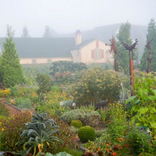 In 1986, Ron Zimmerman and his wife Carrie Van Dyck sold his former business and joined his parents in what was then mostly a side-endeavor for his mother selling herbs roadside. That winter and spring they all worked together to turn part of the farm’s home and garage into a little restaurant, named The Herbfarm. Now on new land after a fire in the late 90s, the Herbfarm is happily resettled and is thriving, presenting 9-course dinners served with 5 or 6 matched wines. The cuisine and menu is drawn from the "rhythms of the season," and what has been growing out back in the kitchen gardens, which produces both "common and uncommon" bounty. In conjunction with this "kitchen garden" mentality, The Herbfarm restaurant loooks to local growers and producers to provide "wild mushrooms, heritage fruits, handmade cheeses, and rare treasures such as water grown wasabi root and artisanal caviars." Artisanical caviars? You better get to Washington, STAT. This "mom-n-pop-n-son" shop seems too good to be true, as national recognition and acclaim  can testify to. 4590 NE 145th Street
Woodinville, WA 98072 U.S.A.; <a href="http://www.theherbfarm.com" target="_blank">theherbfarm.com</a>