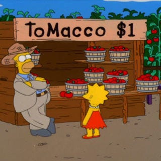 <b>First Taste</b>: <i>The Simpsons</i><br />
<p>Homer inadvertently creates tomacco — a tomato-tobacco hybrid — when he fertilizes his fields with plutonium. The resulting fruit, which tastes terrible, proves to be powerfully addictive. Laramie Cigarettes try to buy tomacco rights from Homer with the intent to market it to children. Luckily, Homer holds out for more money, which allows time for the tomacco-crazed farm animals to eat the entire crop, save one plant, which is destroyed in a helicopter crash. Doh!</p>

<p><b>Recipes: </b>You don't need nicotine to become addicted to the taste of fresh tomatoes. Eat them out of hand, on a sandwich, or on one of these <a href="/entertaining-ideas/parties/picnics/tomato-salad-recipes"><b>14 tomato salad recipes</b></a>.</p>