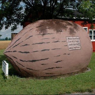 World's Largest Pecan, Brunswick, MO