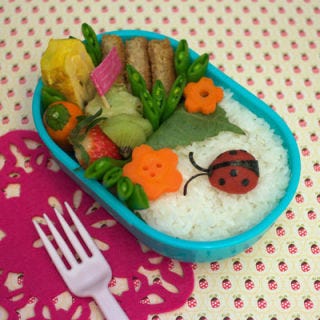 That cute ladybug crawling through a rice and veggie garden is actually a Japanese pickled plum decorated with toasted nori.