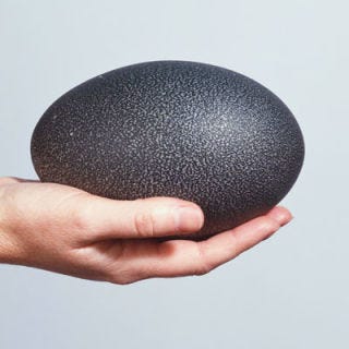 Emu Eggs